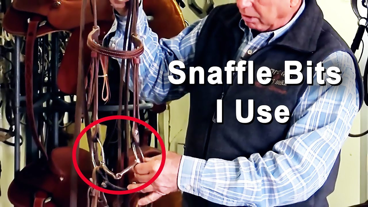 Snaffle Bits For Training Colts, Reining, Cutting & Cow Horses