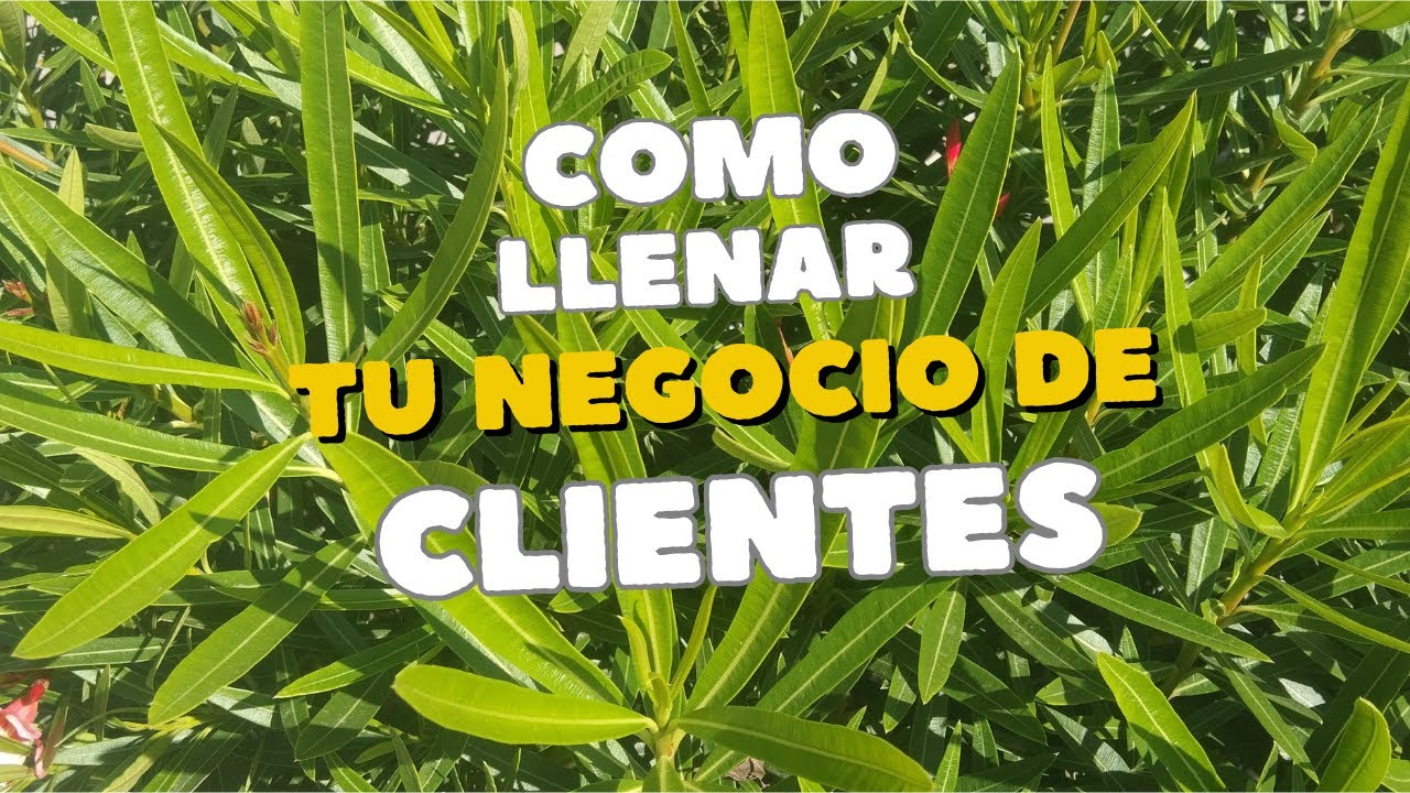 que hacer cuando de plano tu negocio ya no tiene clientes
