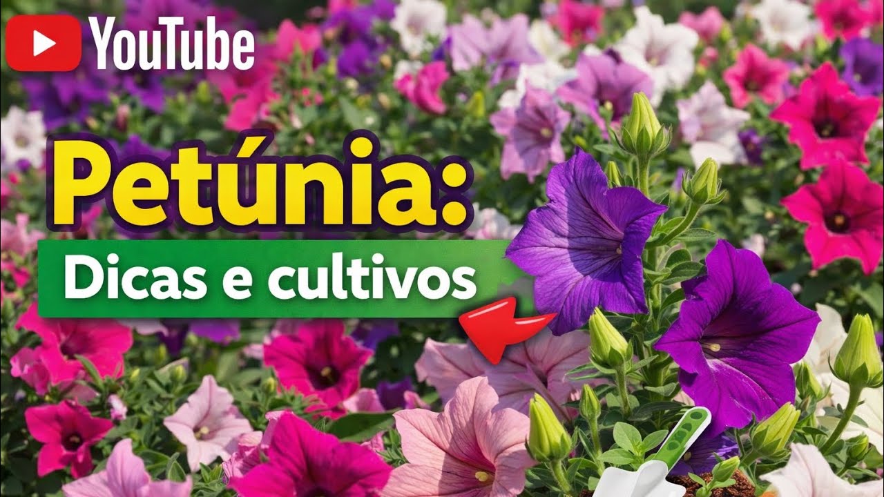 Petúnia: Dicas essenciais para floração explosiva! #petunia #Plantas #plants 