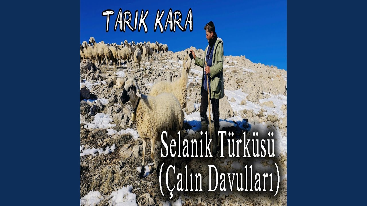 Çalın davulları