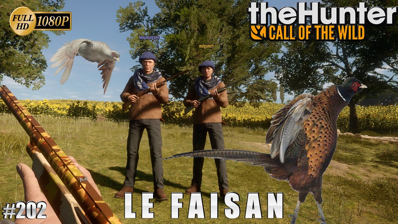THEHUNTER COTW GAMEPLAY #202 UNE CHASSE AUX FAISANS SUR CUATRO COLINAS | CHASSE 2023