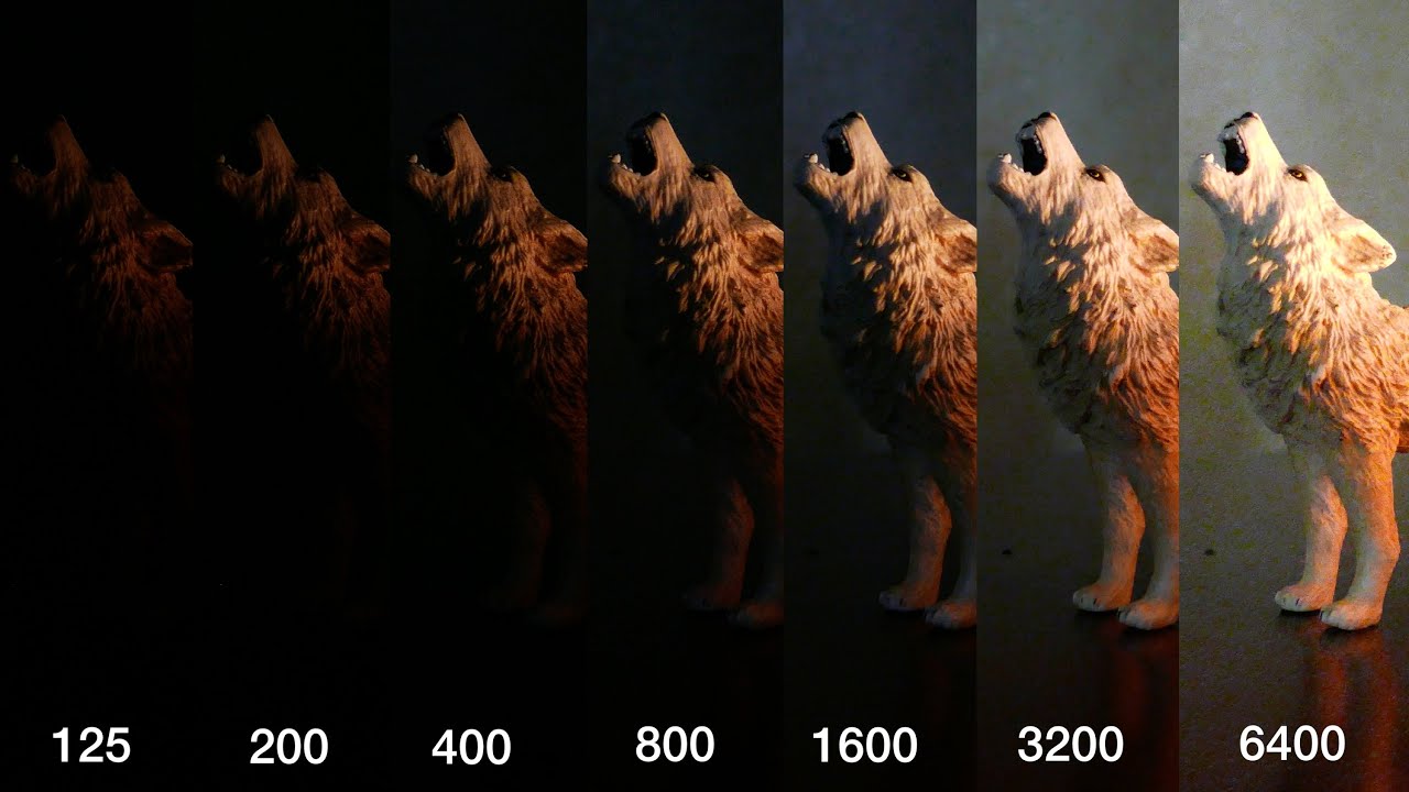 FZ1000 4K Low Light + Candle Light Testing & Sample Footage