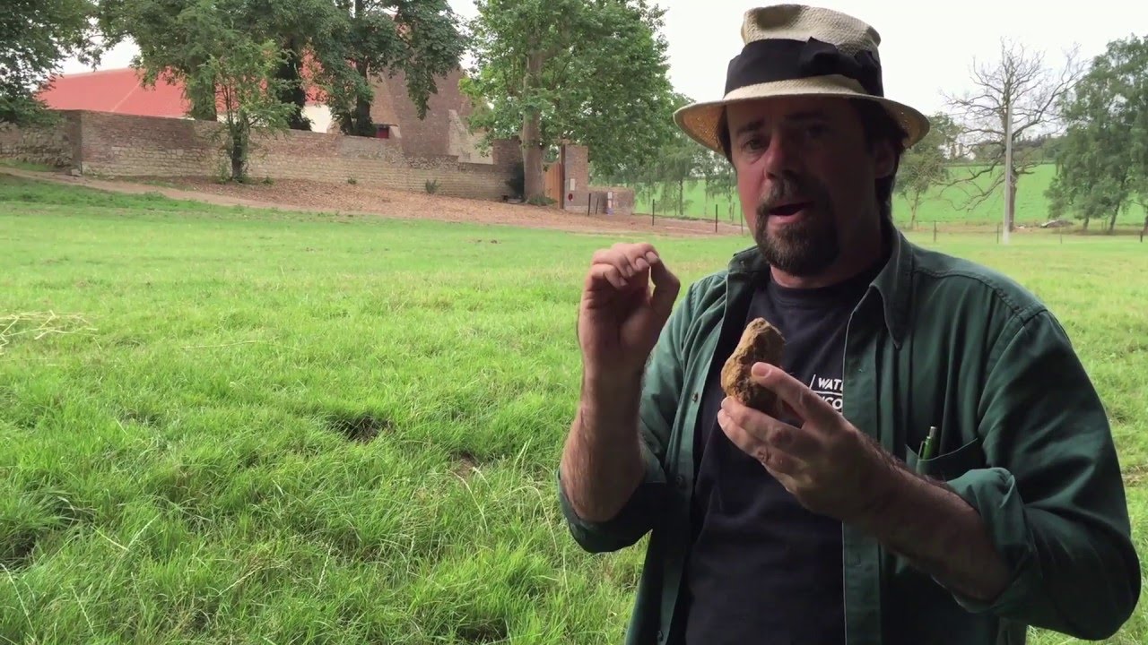 Digging For The Battle of Waterloo