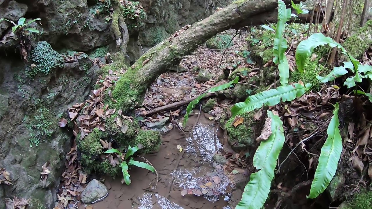 Sentiero delle Vajarole (n.5) - Colli Berici (Lumignano)