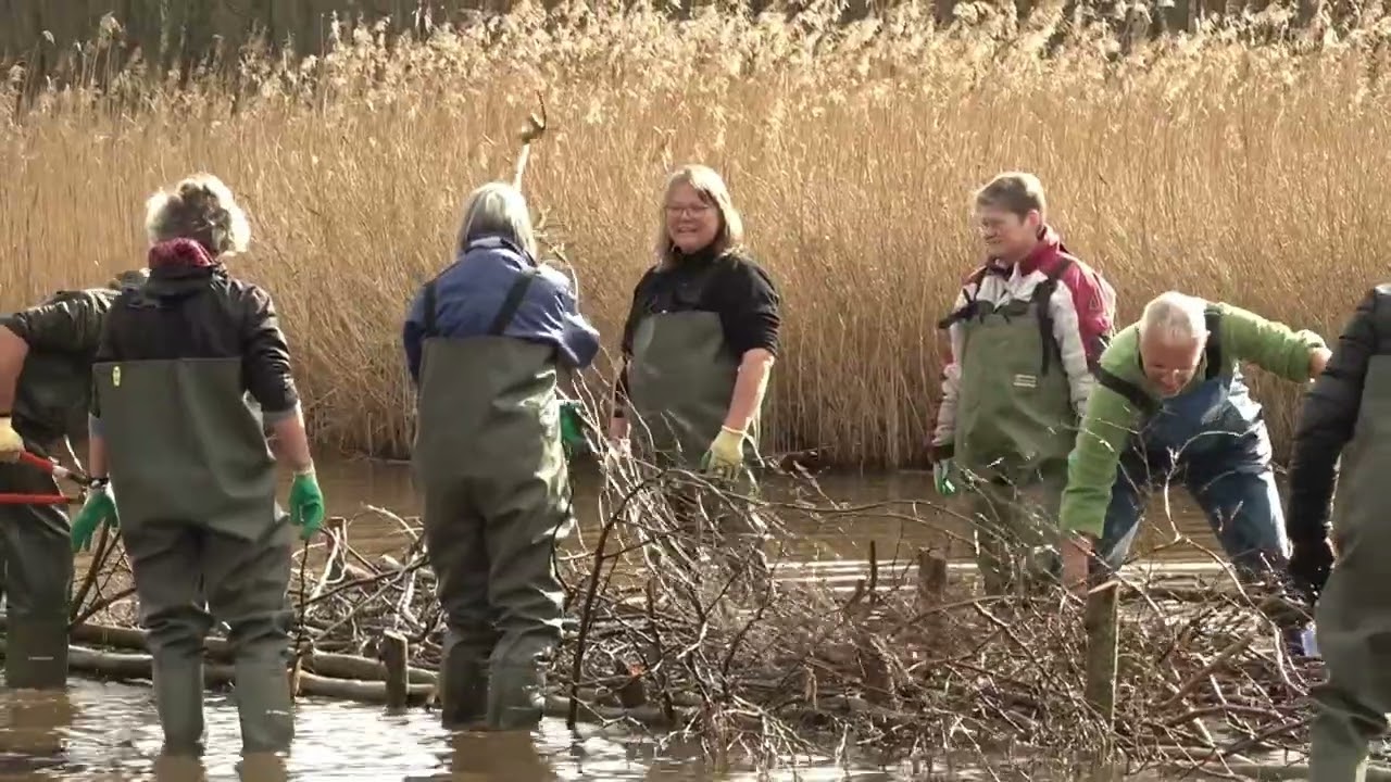 Aanleg vissenbossen in Apeldoorn en Voorst