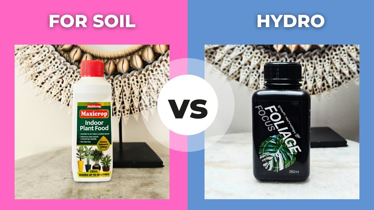 Regular Fertiliser Vs Hydroponic Fertiliser | Which Should You Use?