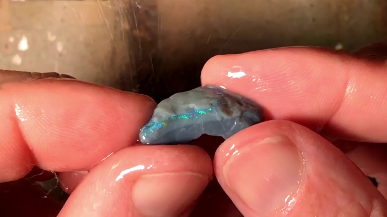 Watch Live The Birth Of Opal