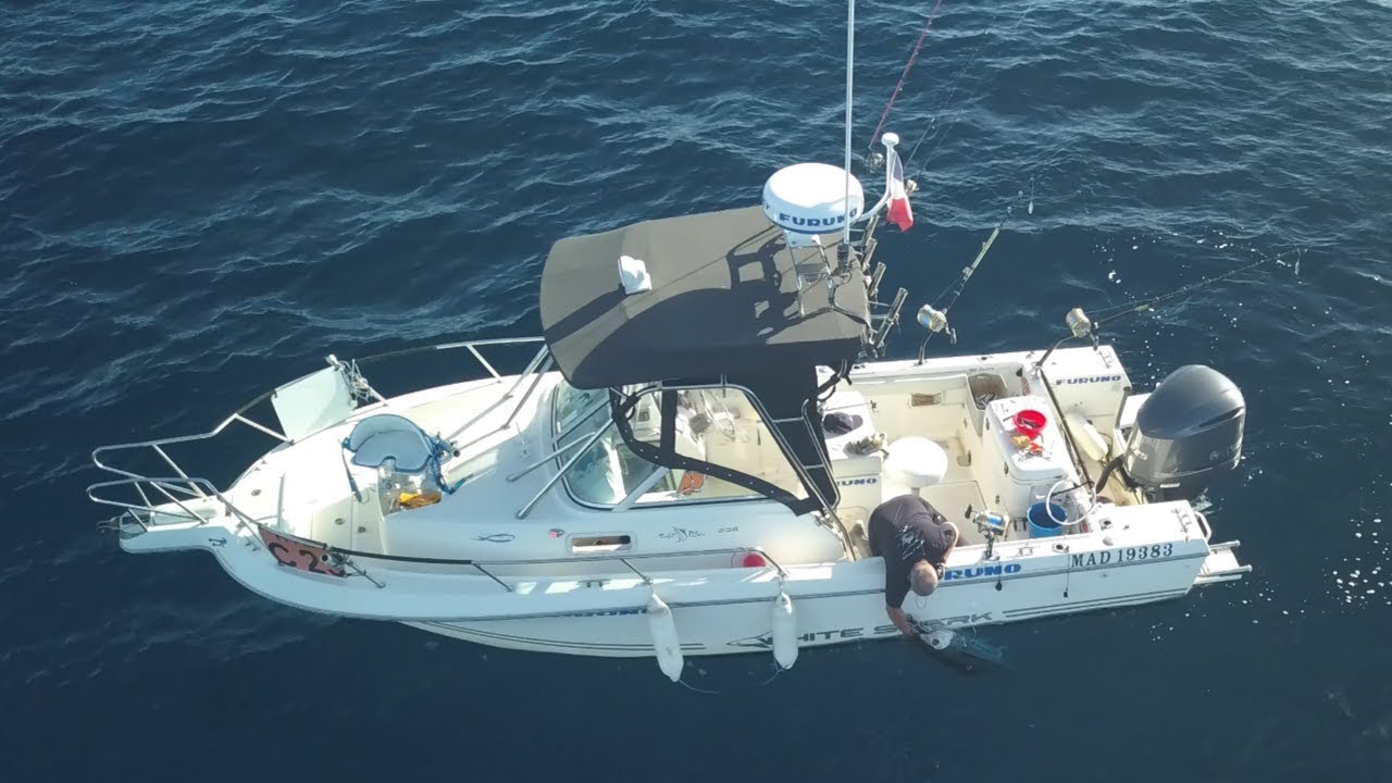 Pêche au thon en no kill filmé par un drone
