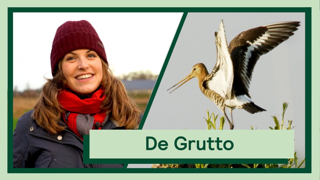 De Grutto | Uitvogelen met Camilla