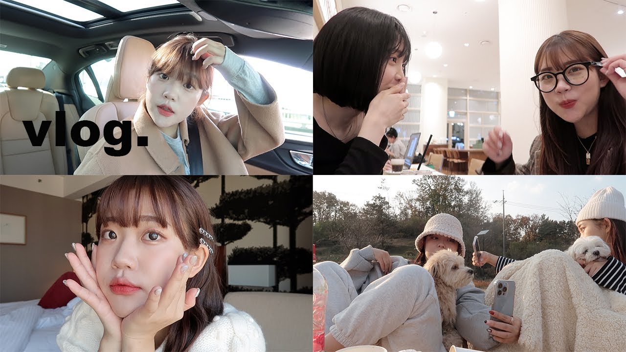 VLOG| 서울에서 첫 운전기,4년만에 만난 맹채,혼캉스,피크닉