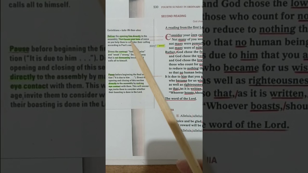 02/01/26 - 4th Sunday in Ordinary Time    Readings, Responsorial Psalm,  & Prayer of the Faithful 