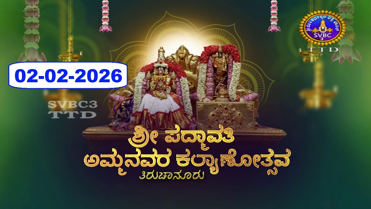 Sri Padmavathi Ammavari Kalyanotsavam || Tiruchanoor || 02-02-2026 || SVBC3 Kannada || SVBC TTD