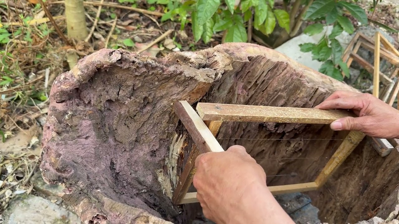 Làm bộng ong bằng gỗ tròn