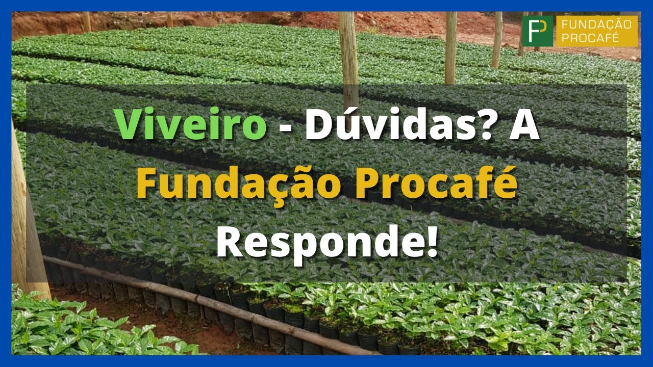Viveiro - D&uacute;vidas? A Funda&ccedil;&atilde;o Procaf&eacute; Responde