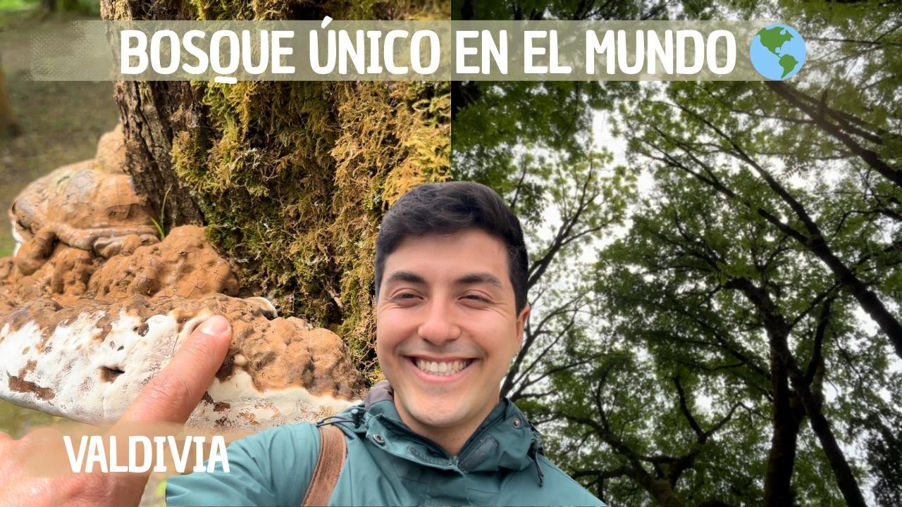 Caminando por el Jardín Botánico de Valdivia 🍃 Universidad Austral