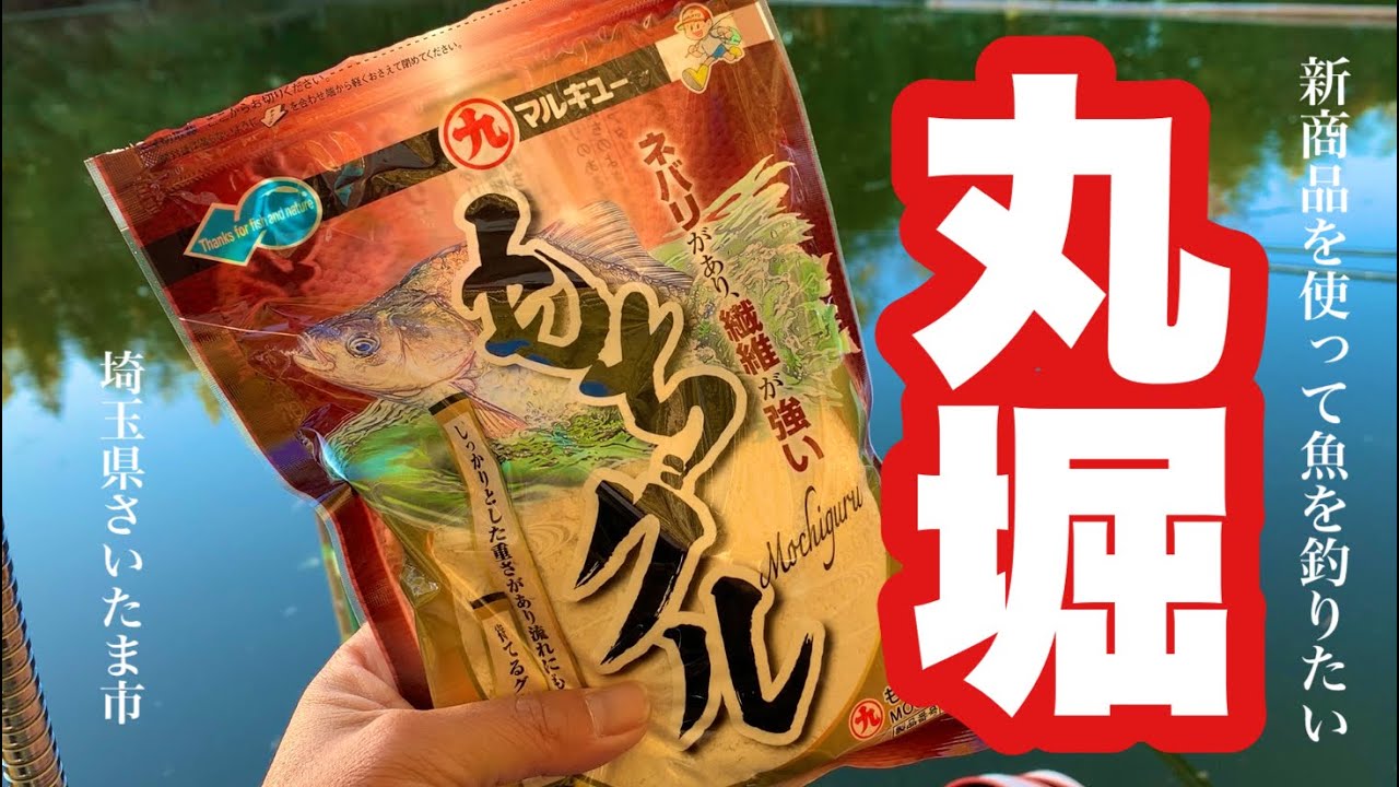 【新発売エサ】初開封のもちグルでへらぶな釣り 丸堀