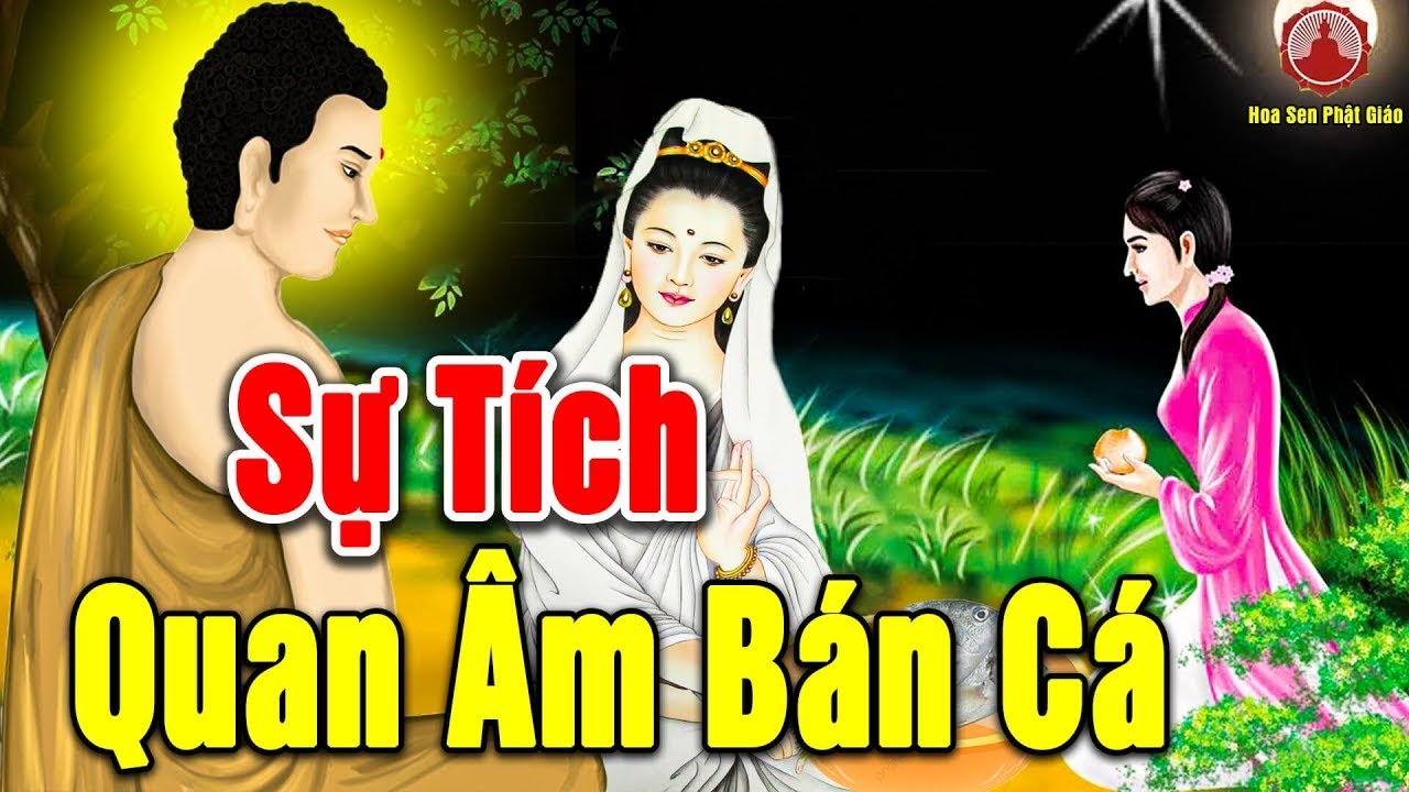 Kể Truyện Đêm Khuya, Sự Tích QUAN ÂM BÁN CÁ - Truyện Tích Phật Giáo Hay Nhất 2025