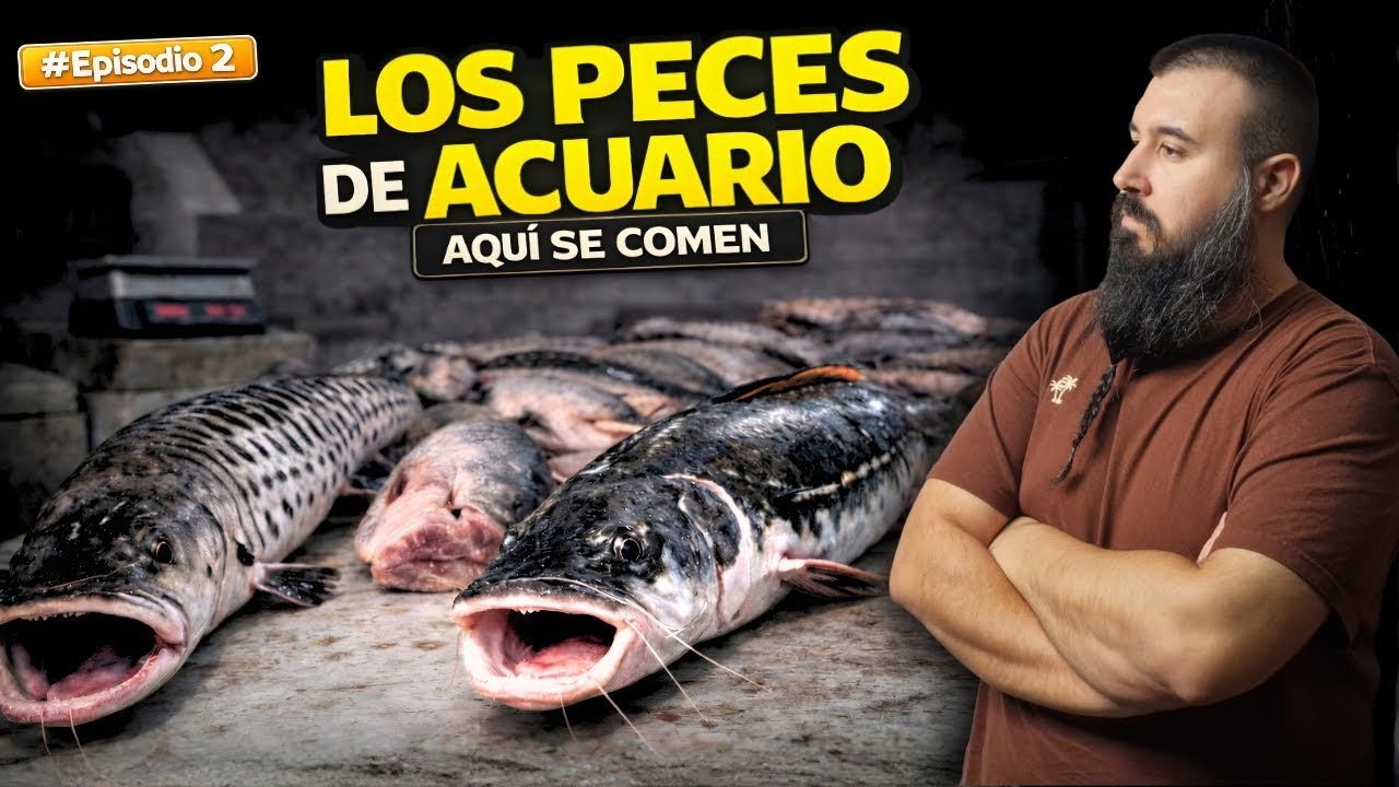 🐟😳 THEY EAT THE FISH FROM YOUR AQUARIUM HERE | WILD AMAZON EPISODE 2