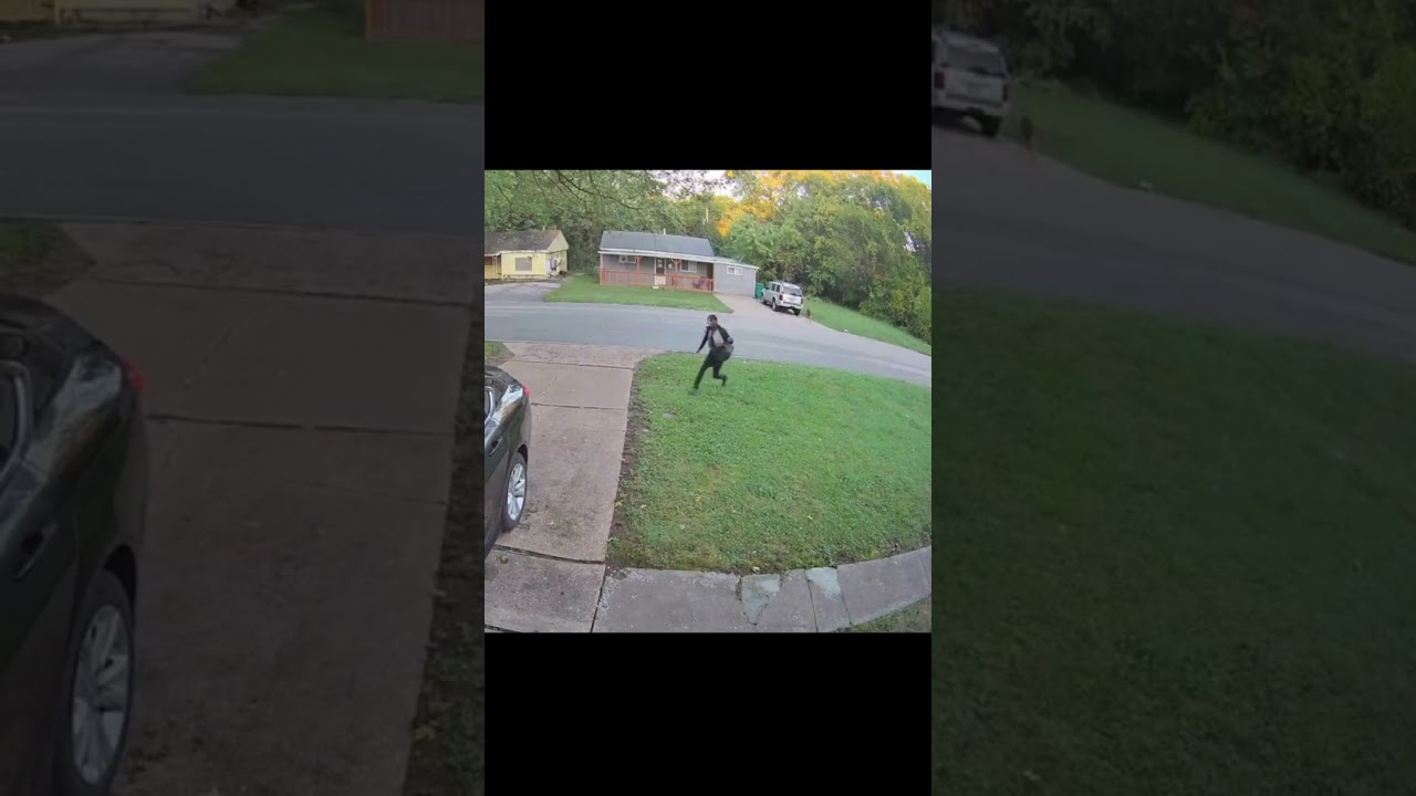Over 5,300 postal workers were attacked by dogs in 2022