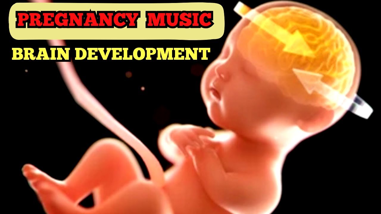Music for Baby Inside The Womb, Music for Brain Development, Music for Pregnancy And Unborn Baby 💘