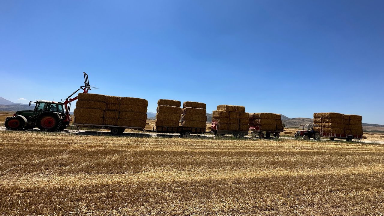 BÜYÜK KARE BALYA YÜKLEME | Fendt 312 & MF 3060 & Oğuz Yiğit asistan kepçe