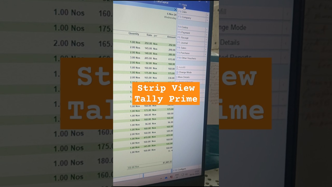 Tally Prime Stripe View Demo: A Must-Know Feature in Tally Prime 5.0! Part 1