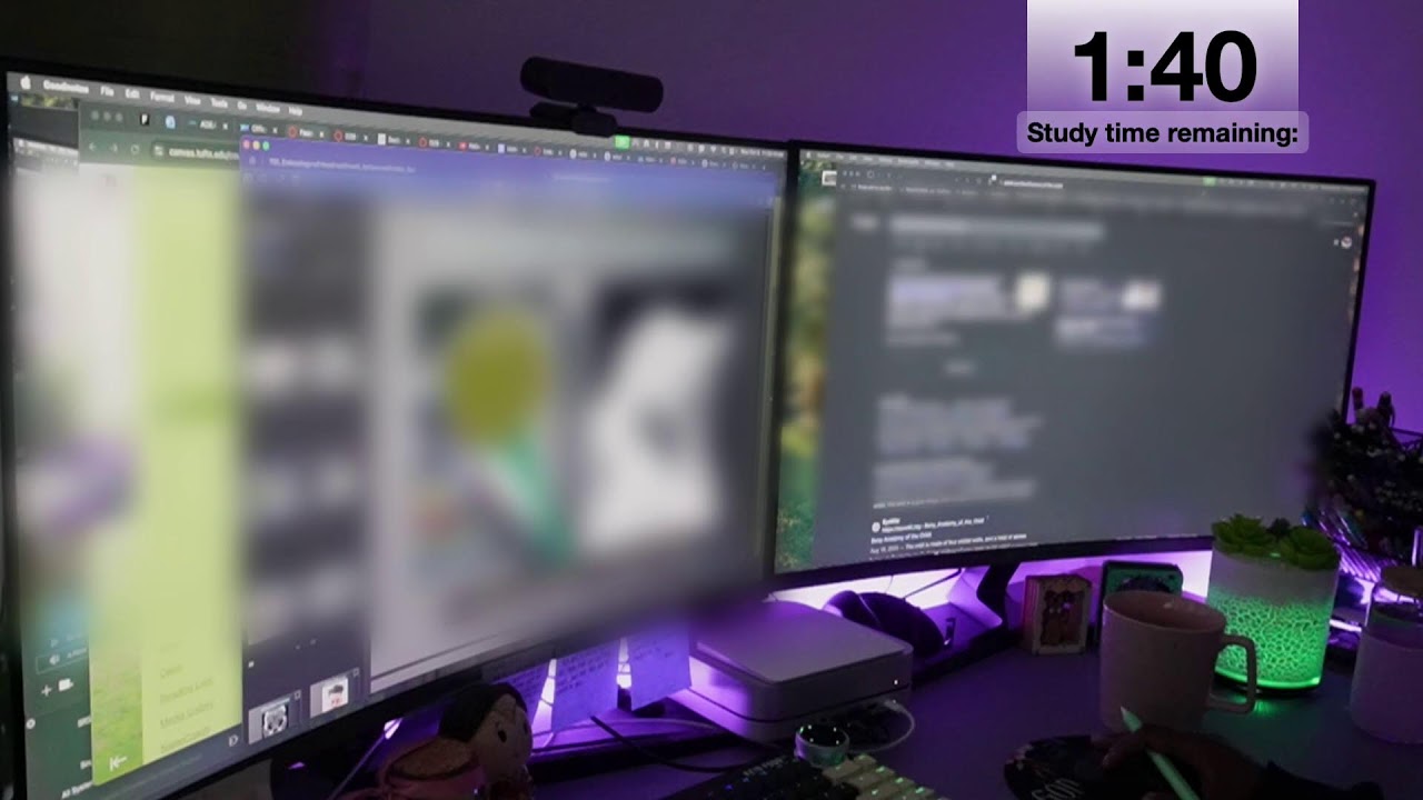 3-HOUR STUDY WITH ME | 50/10 Pomodoro | White Noise, Rain 🌧️ & Fireplace 🔥 | Dental Student 📚