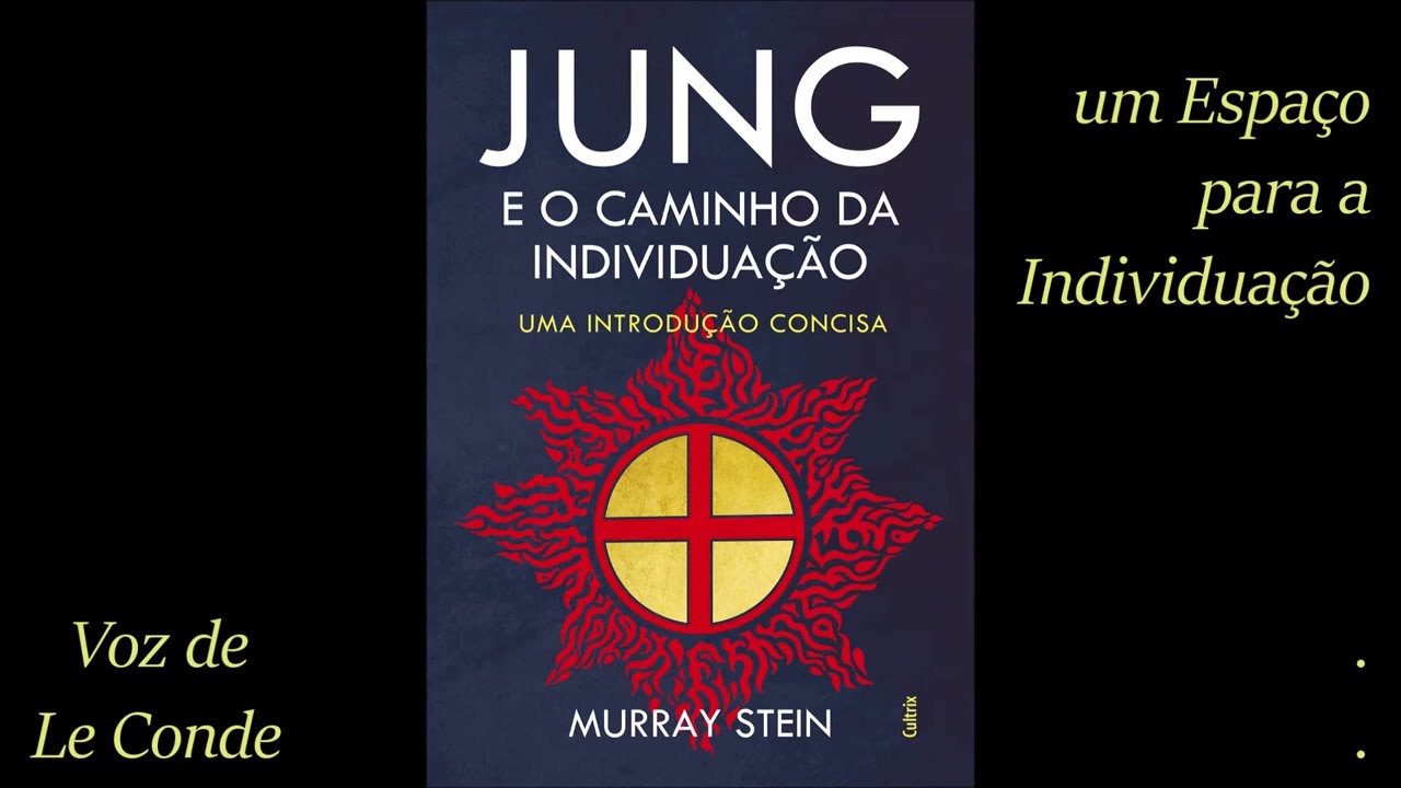 Murray Stein - Jung e o Caminho da Individuação [6 - um Espaço para a Individuação]