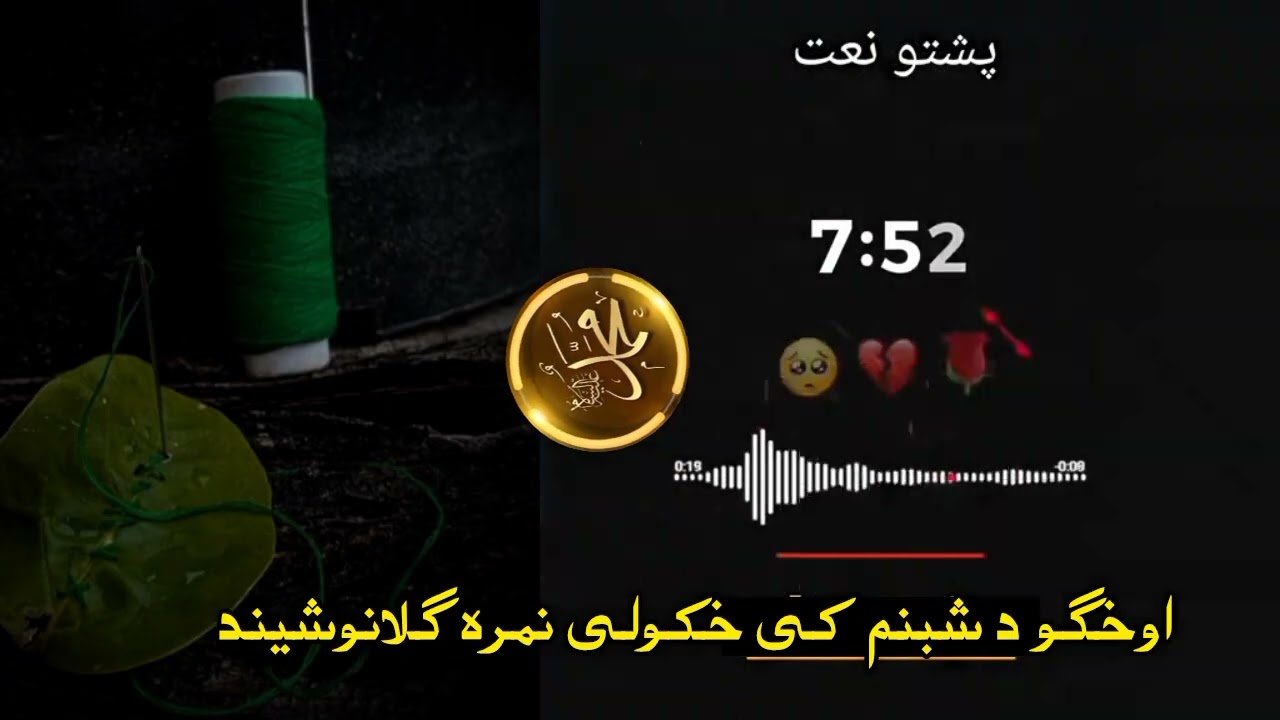 اوخکو د شبنم کی خکولی نمرہ گولان اوشیندہ pakhto nezam #viralvideo #furry 