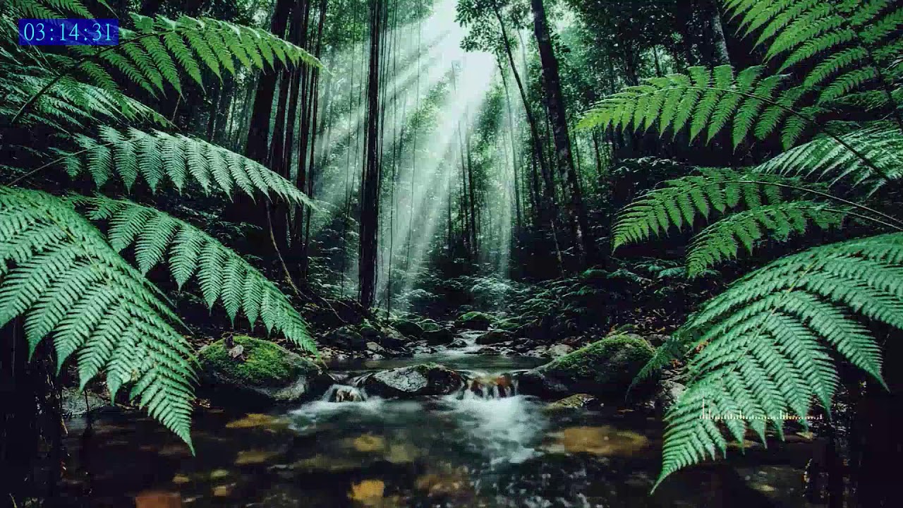 Deep Sleep Rain Audio with Distant Thunder Calm