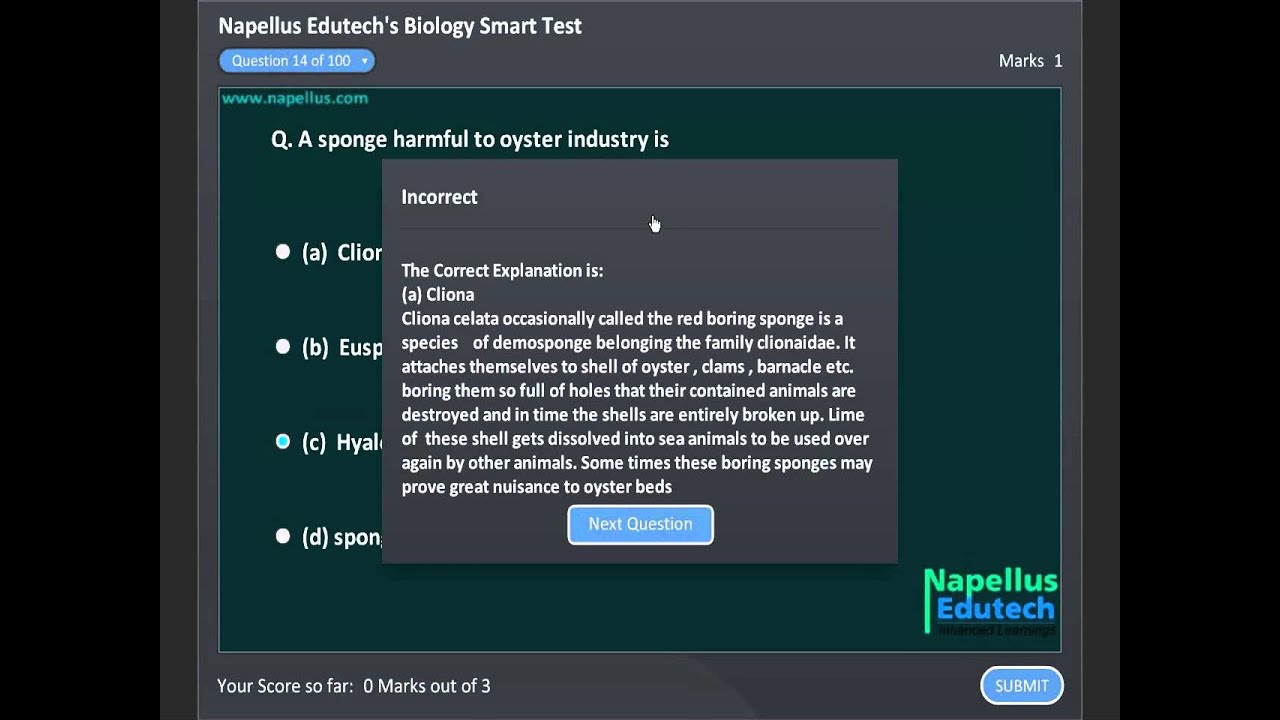 Animal Classification Smart Test 8 , For CBSEPMT coaching Institute
