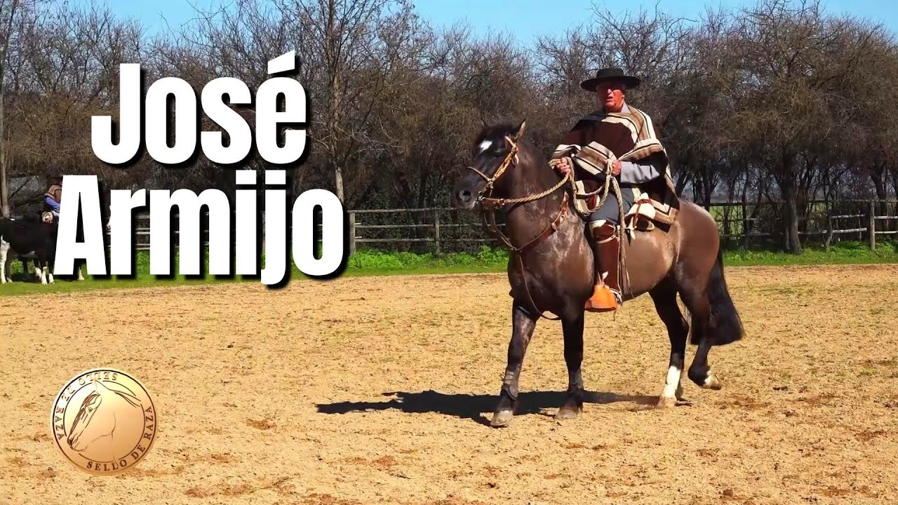 Sello de Raza Cap735 Pepe Armijo