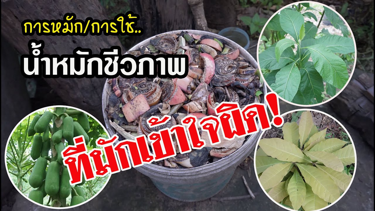 ไขข้อสงสัย!.น้ำหมักชีวภาพ/การหมักและการใช้ที่หลายคนมักเข้าใจผิด!