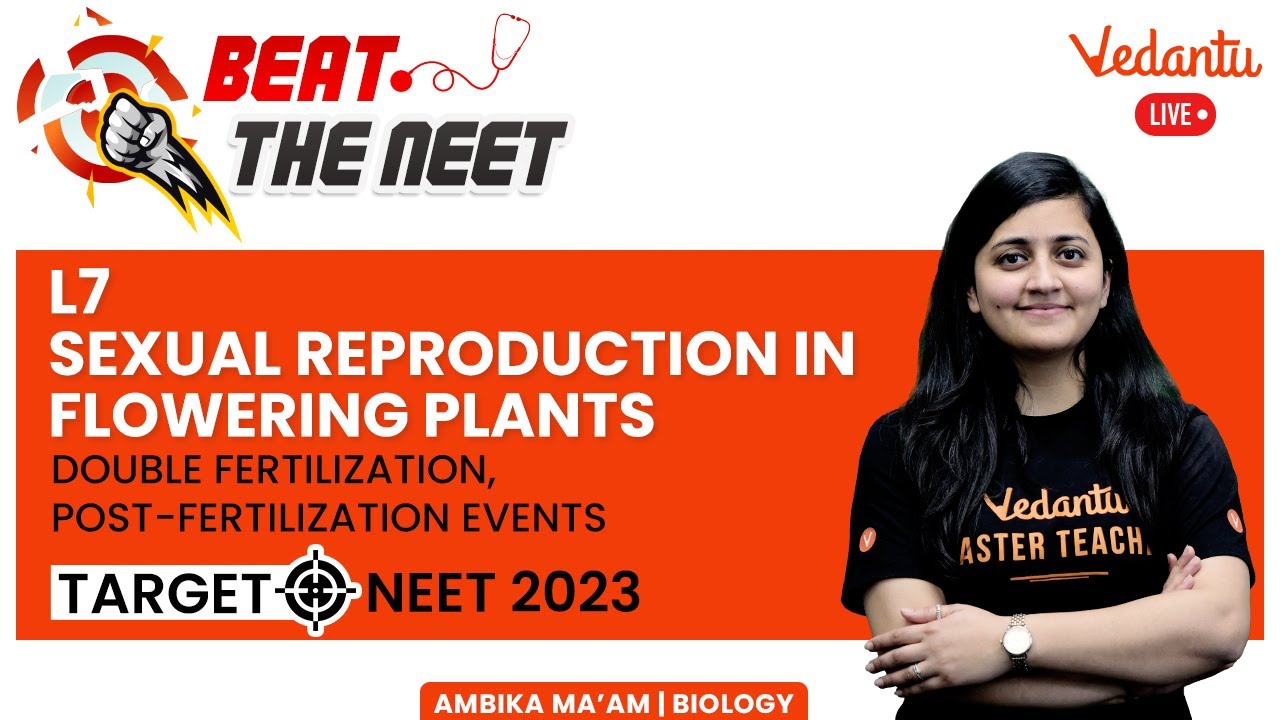 Sexual Reproduction in Flowering Plants #7 | Target NEET 2023 | NEET Biology | Ambika Ma'am