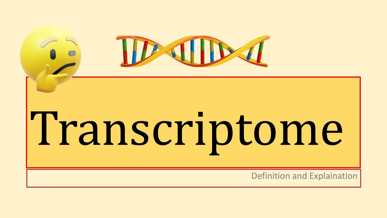 Transcriptome