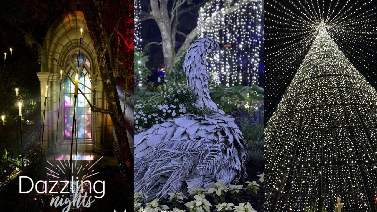 ЛУЧШЕЕ рождественское освещение в Центральной Флориде | Dazzling Nights Leu Gardens 2024