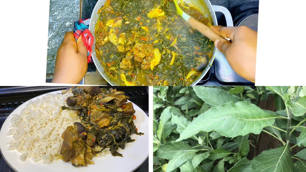 HOW TO MAKE BITTER LEAF STEW / BITTER LEAF STEW AND WHITE RICE