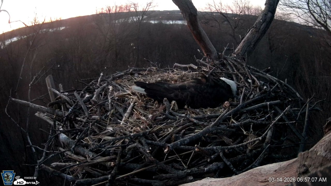 Hanover Eagles Live Cam   HDOnTap — Mozilla Firefox 2026 03 14 06 56 06