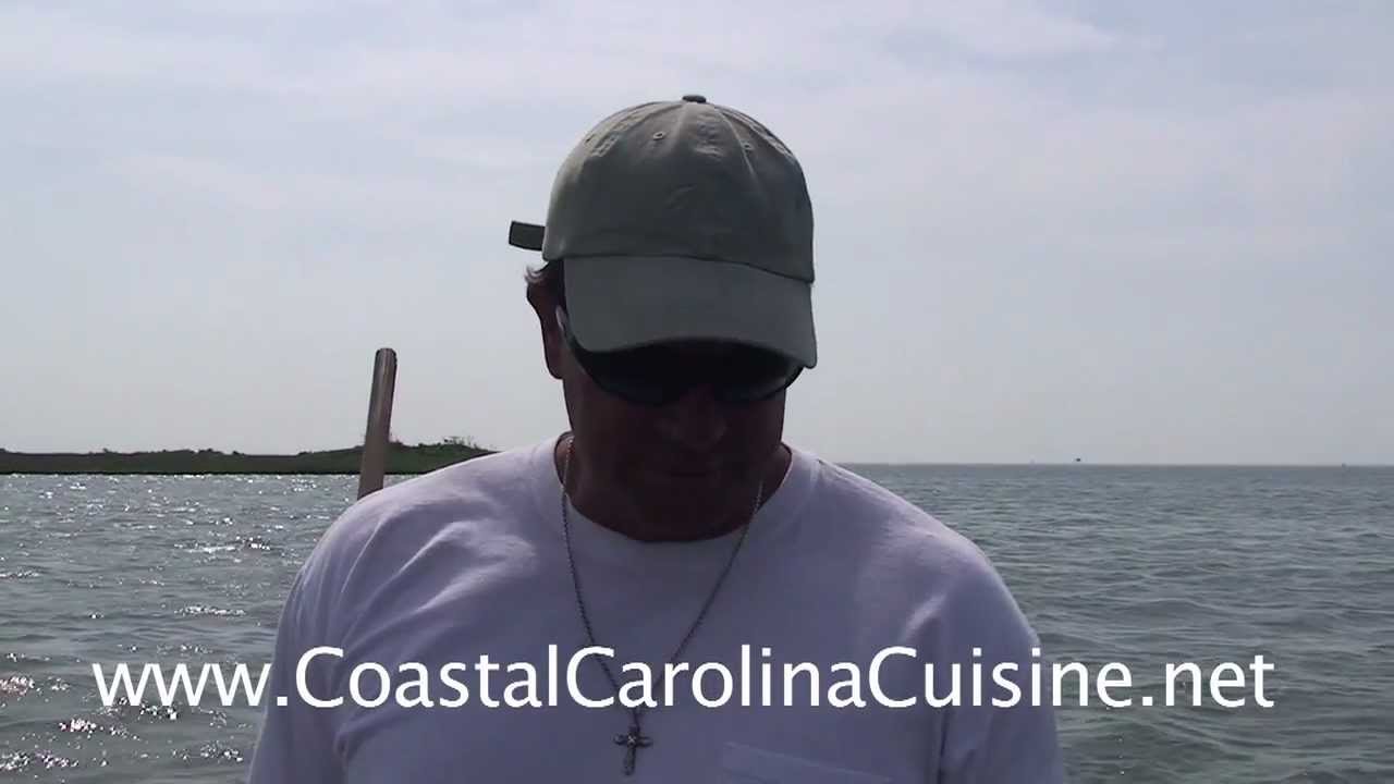 Seafood Harvest - Clams