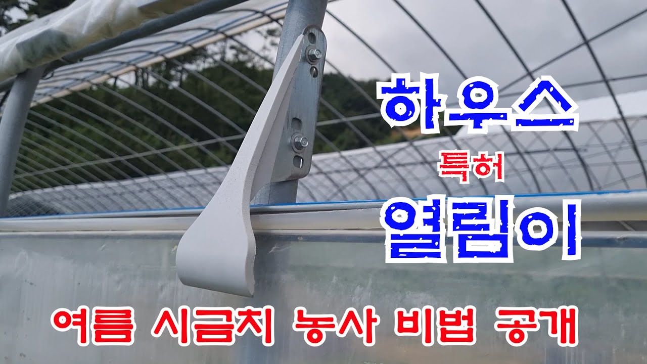 비닐 하우스 부품 특허 개발로  여름 시금치 농사 성공하여 고소득#하우스열림이#하우스 염분화방지#대관령#평창#귀농고소득장물#귀넝귀촌#농상담귀#