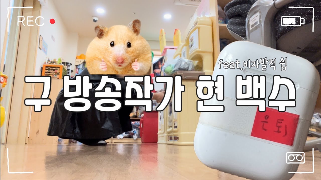 [백수 브이로그] SSS급 백수가 에어팟 은퇴식을 하다 프로 알바맨이 된 걸 숨김