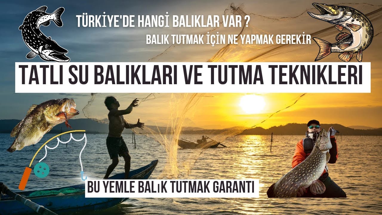 T&uuml;rkiye&rsquo;de Ki Tatlı Su Balıkları, Tutma Teknikleri ve Doğru Yem Se&ccedil;imi #fısh #balık #capture