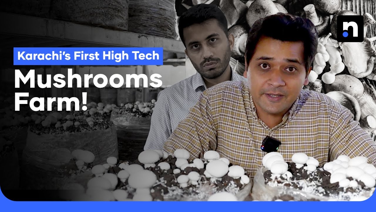 Pakistan’s First High-Tech Mushroom Farm in Karachi | Nukta