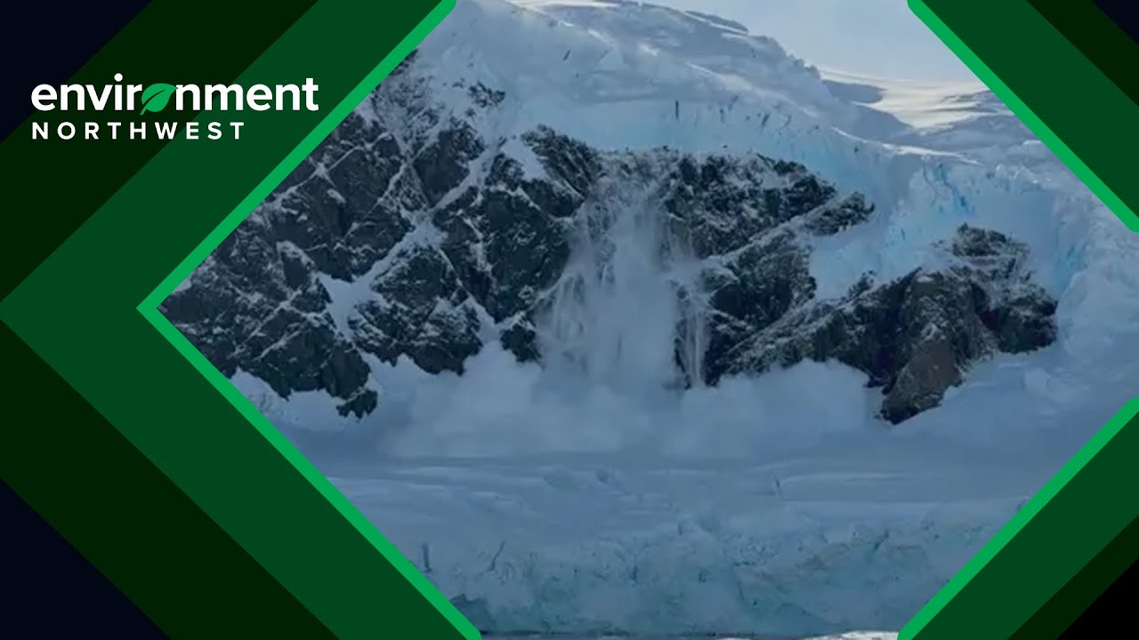 UW professor on threats to glaciers, impact on western Washington