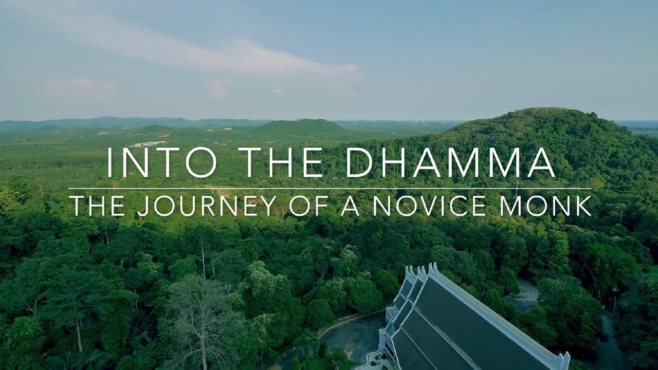 INTO THE DHAMMA: The Journey of a Novice Monk