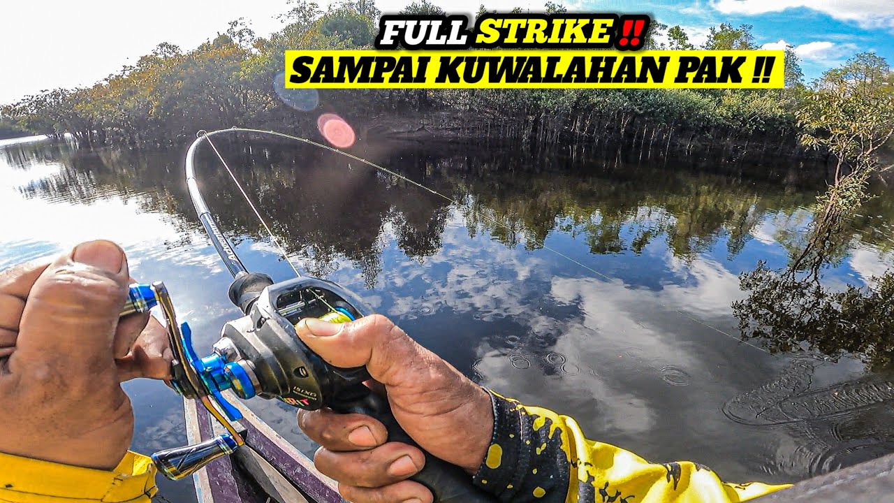 DANAU YANG SANGAT BANYAK DIHUNI IKAN TOMAN || CASTING TOMAN AIR HITAM