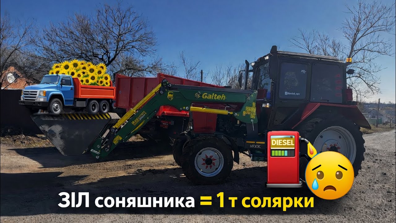 Доздавали соняшник 🌻 на солярку вистан‼️😢