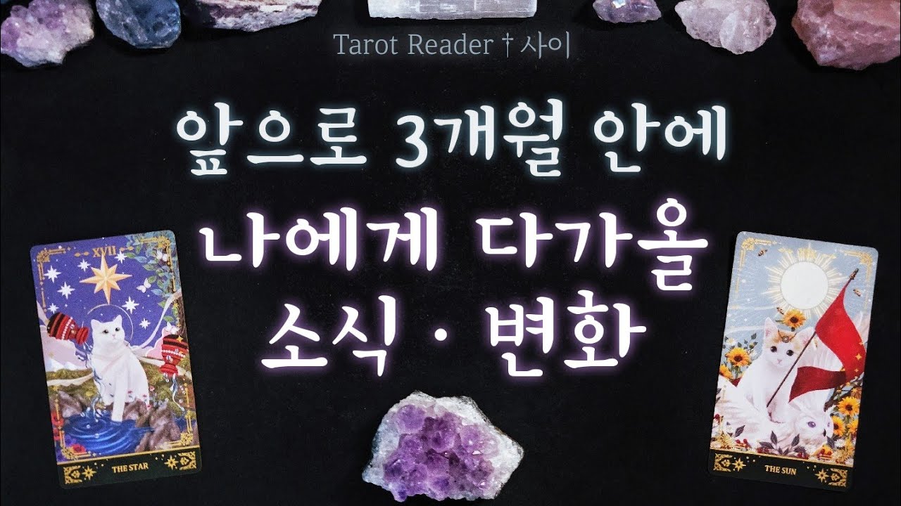 [타로:운세] 3개월 동안 다가올 일들/소식/변화