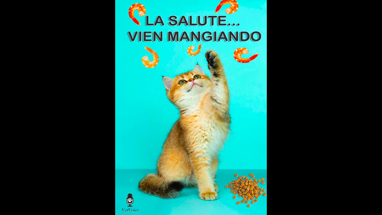 La salute...vien mangio Episodio 1   La diarrea nel cane e nel gatto.