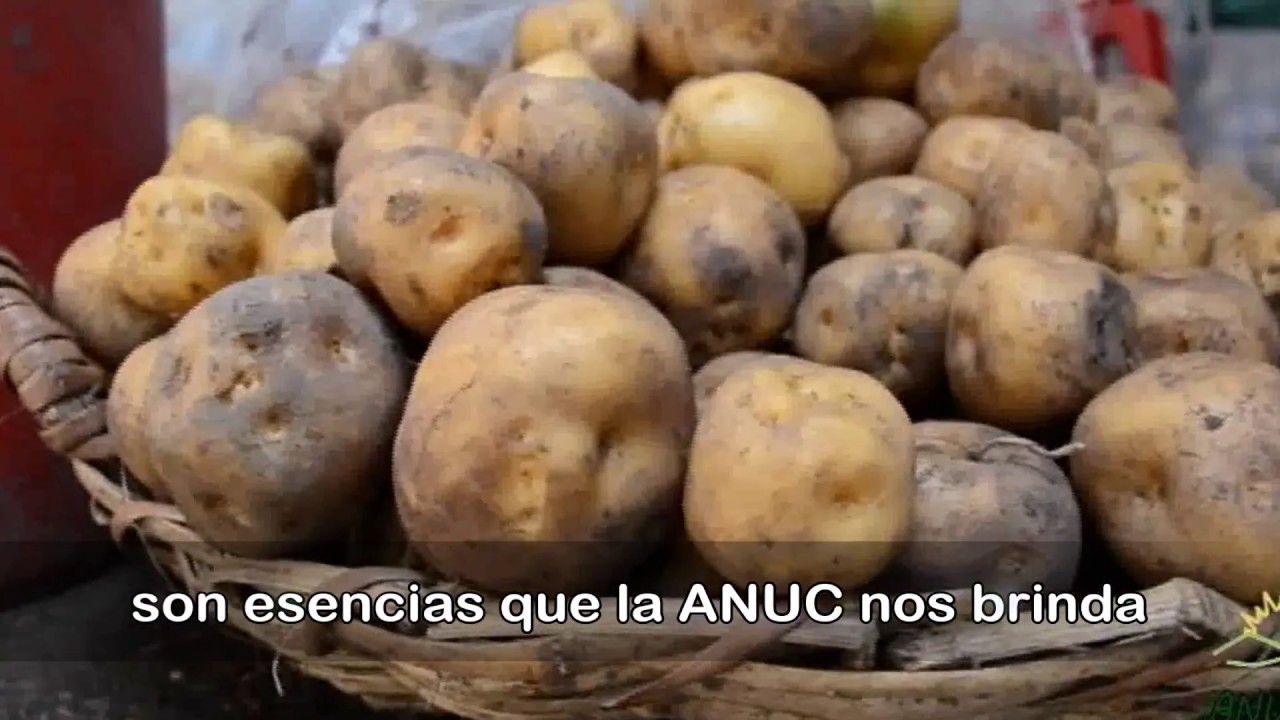 Himno ANUC VIDEO